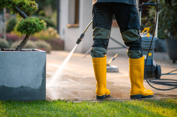 Local Pressure Washing Services in Boston, GA